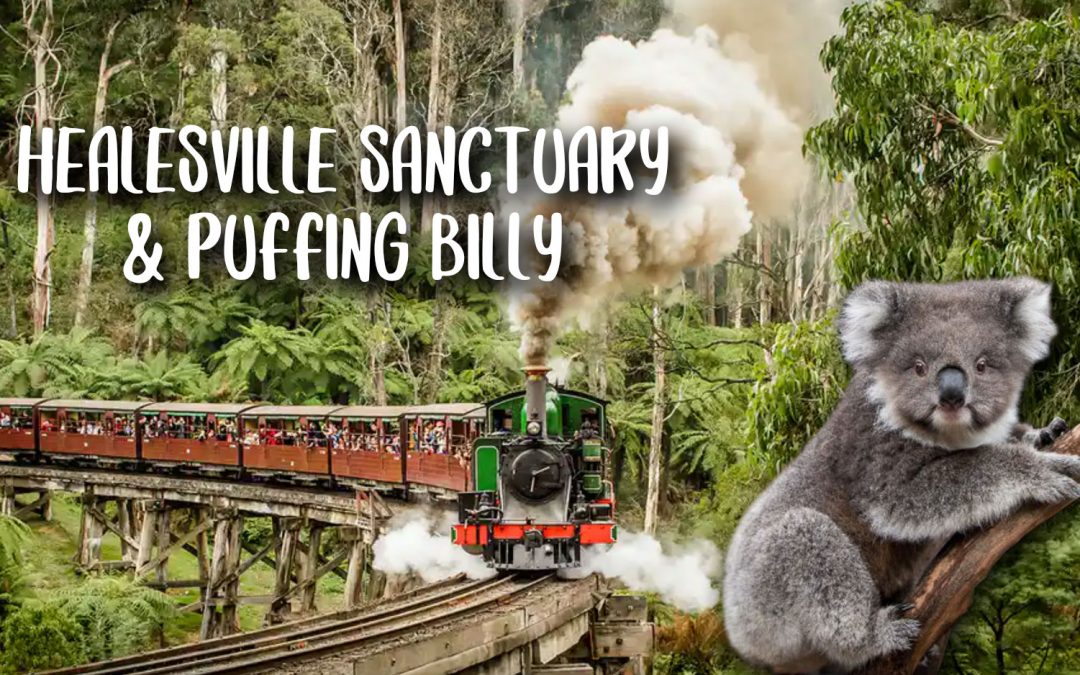 Healesville Sanctuary & Puffing Billy