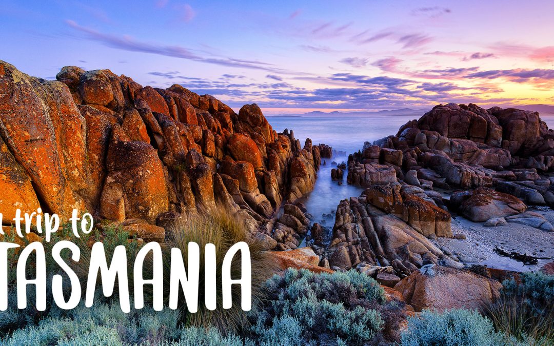 A Trip to Tasmania